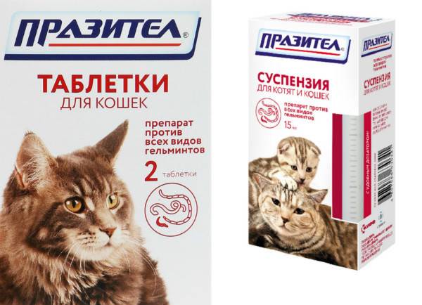 Гельминтозы собак и кошек. празител – антигельминтик широкого спектра действия