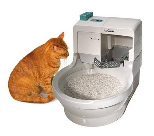 Лучшие наполнители для кошачьего туалета