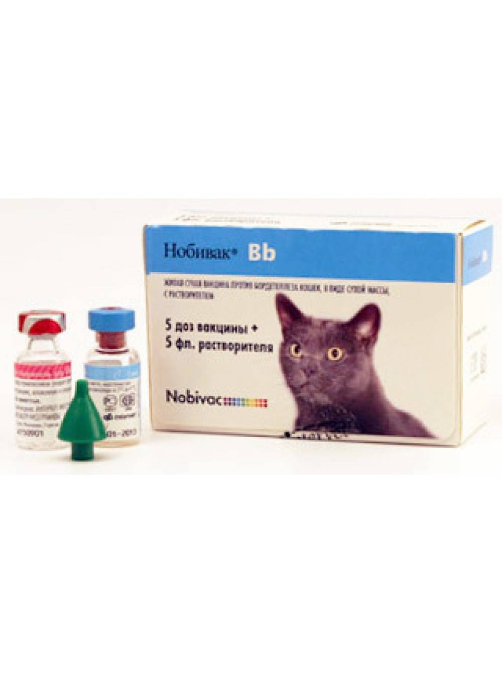 Вакцинация кошек: стоимость прививки для кошек в москве - правила и сроки необходимой вакцинации на дому