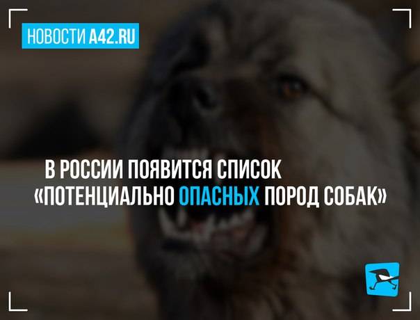 13 пород собак в списке мвд - список, правила, санкции за нарушения