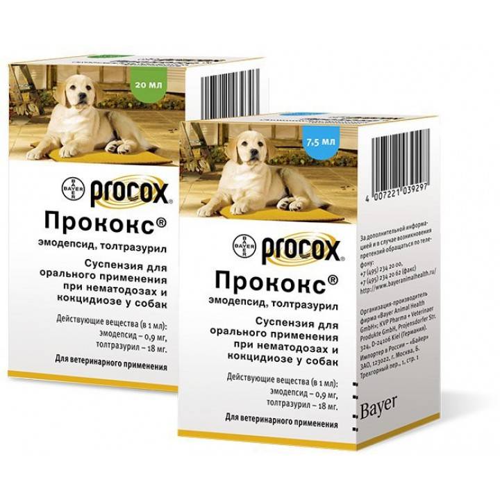 Прококс для собак: инструкция по применению, показания и противопоказания, отзывы владельцев