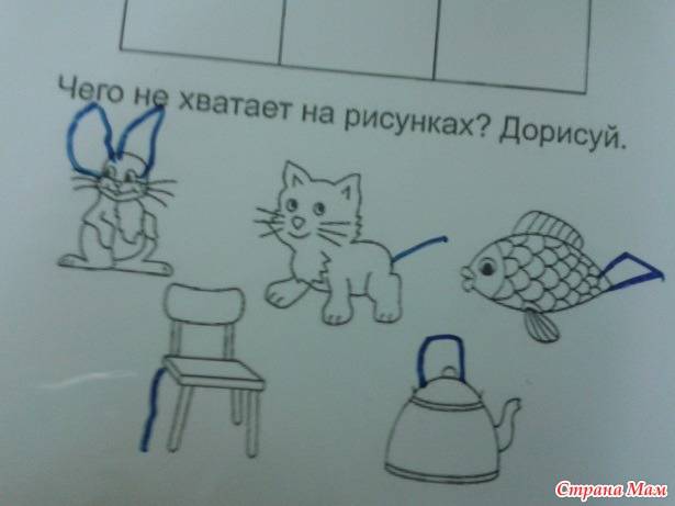 5 признаков того, что кошке не нравится гость квартиры | gafki.ru | яндекс дзен
