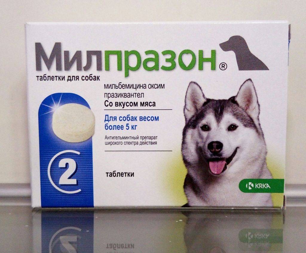 Ветспокоин для собак крупных и средних пород в таблетках №30