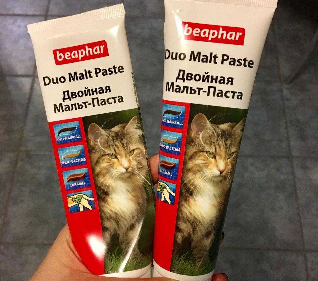 Мальт-паста для кошек: инструкция по применению, топ лучших продуктов для выведения шерсти