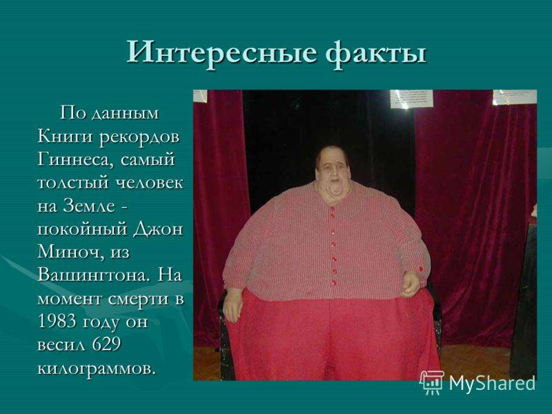 Самые толстые коты