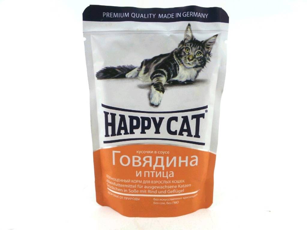 Корм для кошек влажный: виды корма и способы кормления