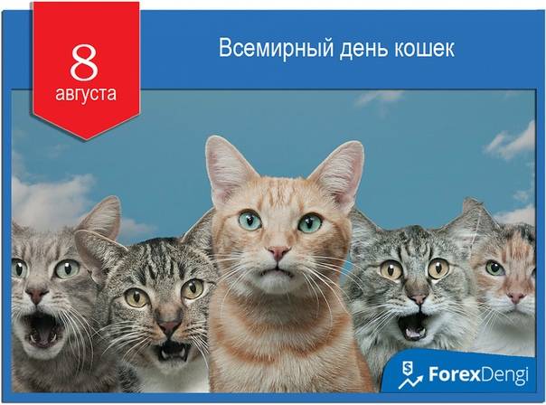 Всемирный день кошек
