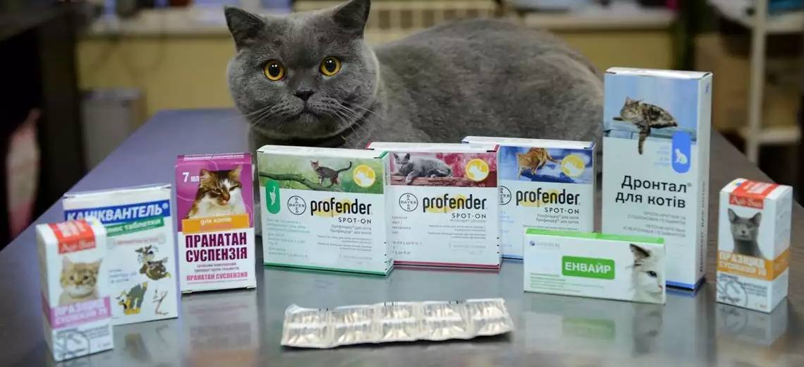 Таблетки от глистов для кошек: названия, отзывы и цены