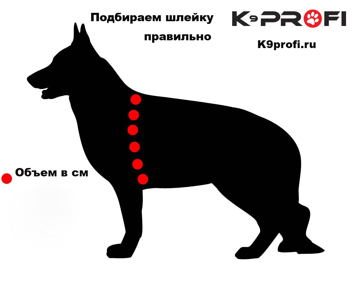 Как правильно подобрать собаку