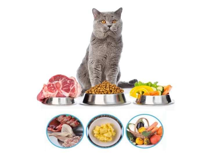 Выбираем натуральное питание для кошки. меню домашнего хищника