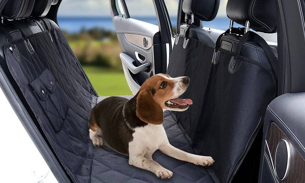 Как перевозить собаку в машине?: автогамак и клетки, чехлы и переноски в машину, с помощью которых можно перевозить собак