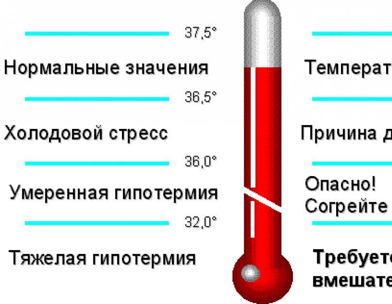 Нормальная температура после. Низкаямтемпература ткла. Температура тела. Нормальная температура человека. Понижение температуры тела.