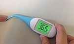 Простая и понятная инструкция, как измерить температуру кошке