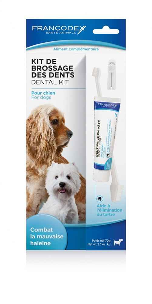 Зубная паста для собак: 80 фото и рекомендации по выбору и использованию