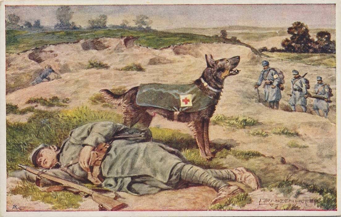 Как собаки помогали солдатам во время войны: обезвреженные снаряды, спасённые жизни и другие подвиги