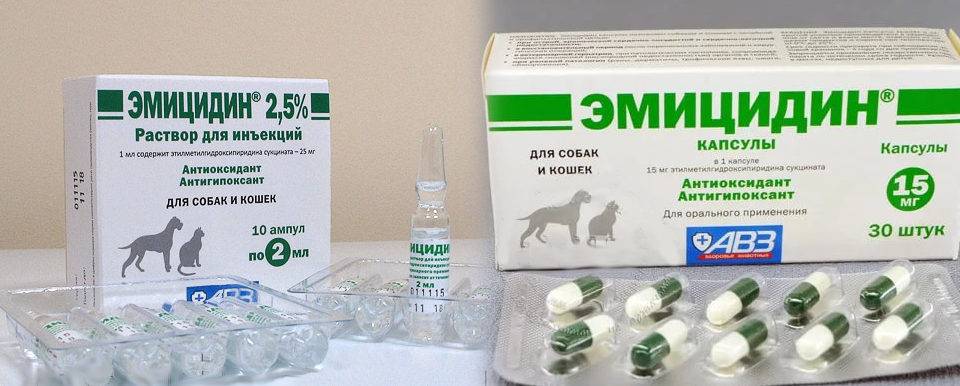 Эмицидин (раствор для инъекций) для собак и кошек | отзывы о применении препаратов для животных от ветеринаров и заводчиков