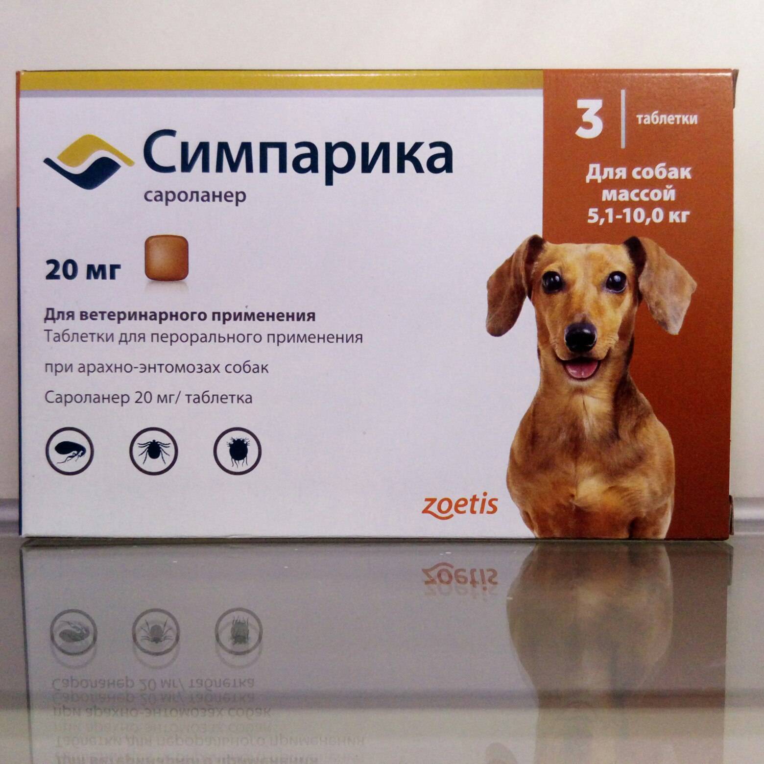 Как дать собаке таблетку и заставить её проглотить?