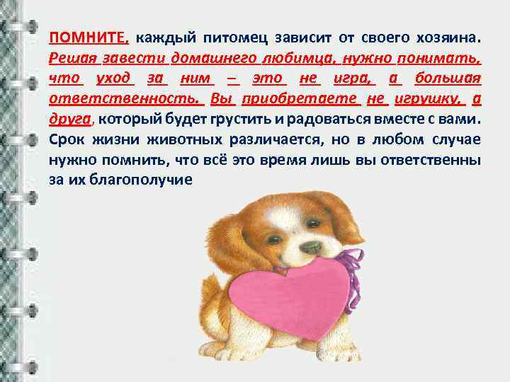 Как кошки благодарят своих хозяев - gafki.ru