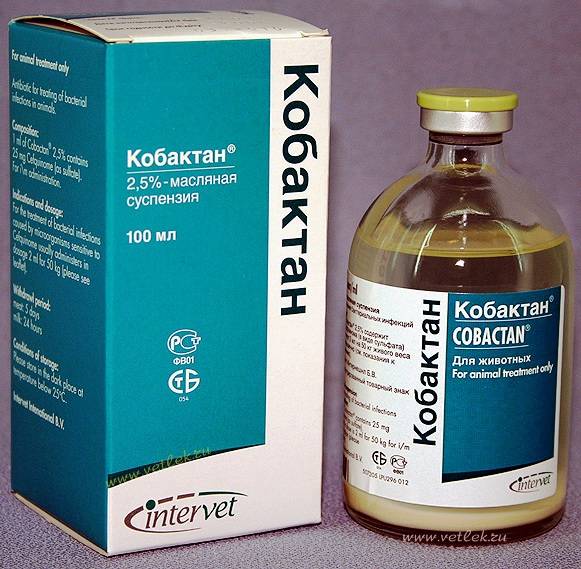 Кобактан для кошек
