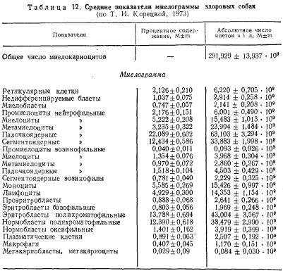 Температура у собак: какая считается нормой, а какая – нет
