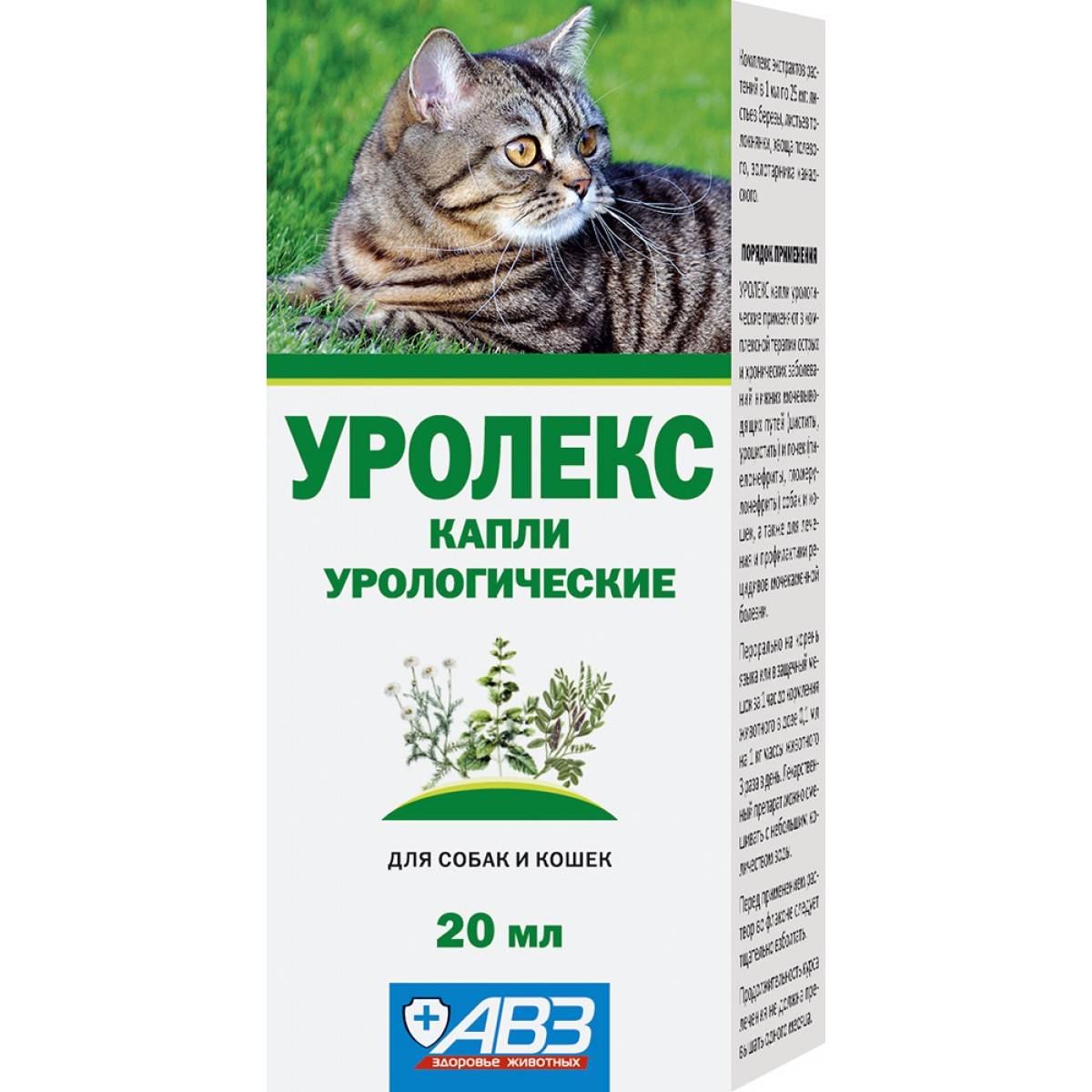 Диета при мочекаменной болезни