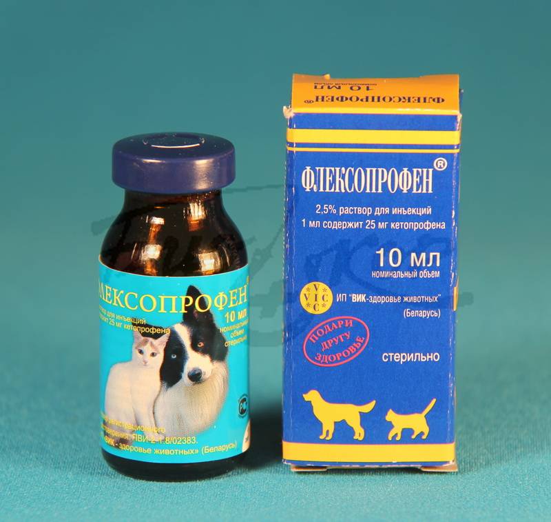 Флексопрофен для собак – скорая помощь при боли
