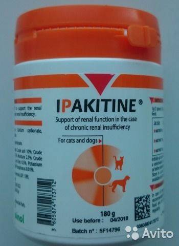 Ипакетине (ипакитине) для кошек: инструкция по применению препарата и отзывы