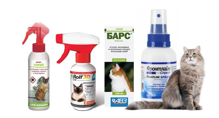 Спрей от блох для кошек («фипронил» и другие): инструкция по применению средства, эффективность, отзывы ветеринаров и владельцев животных
