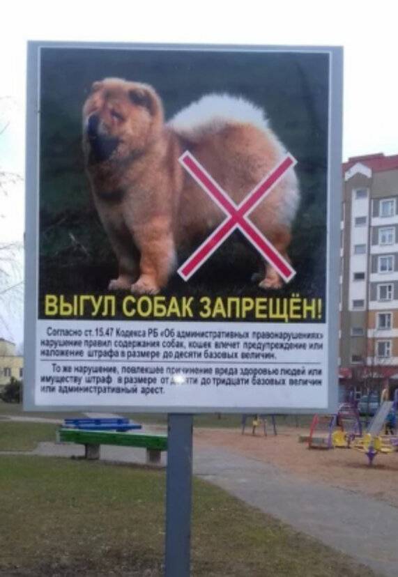 Закон о выгуле собак в россии в 2020 году, штрафы