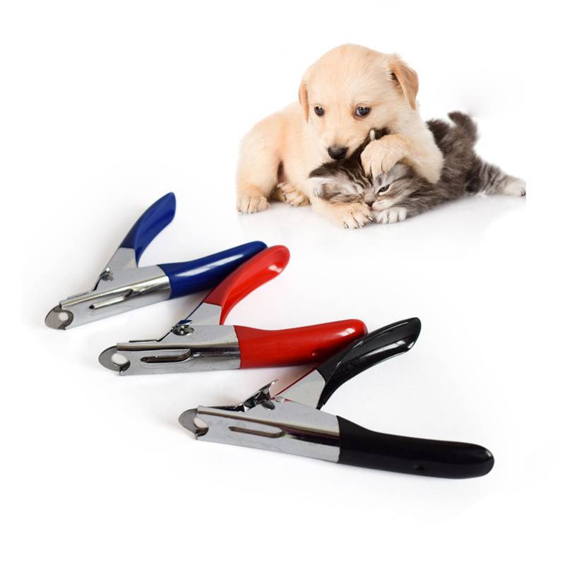 Как подстричь когти собаке: советы и эффективные методы