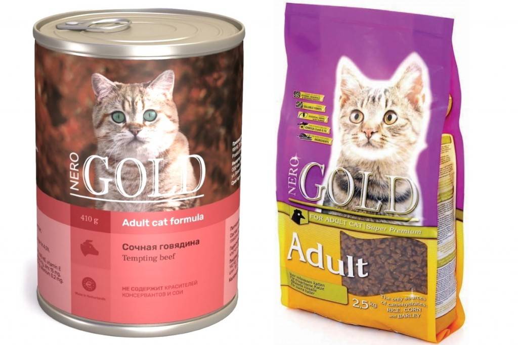 Лучшие мягкие корма для кошек: рейтинг, составы, советы по выбору, отзывы о производителях