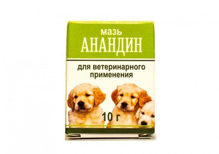 «анандин» для собак: инструкция по применению