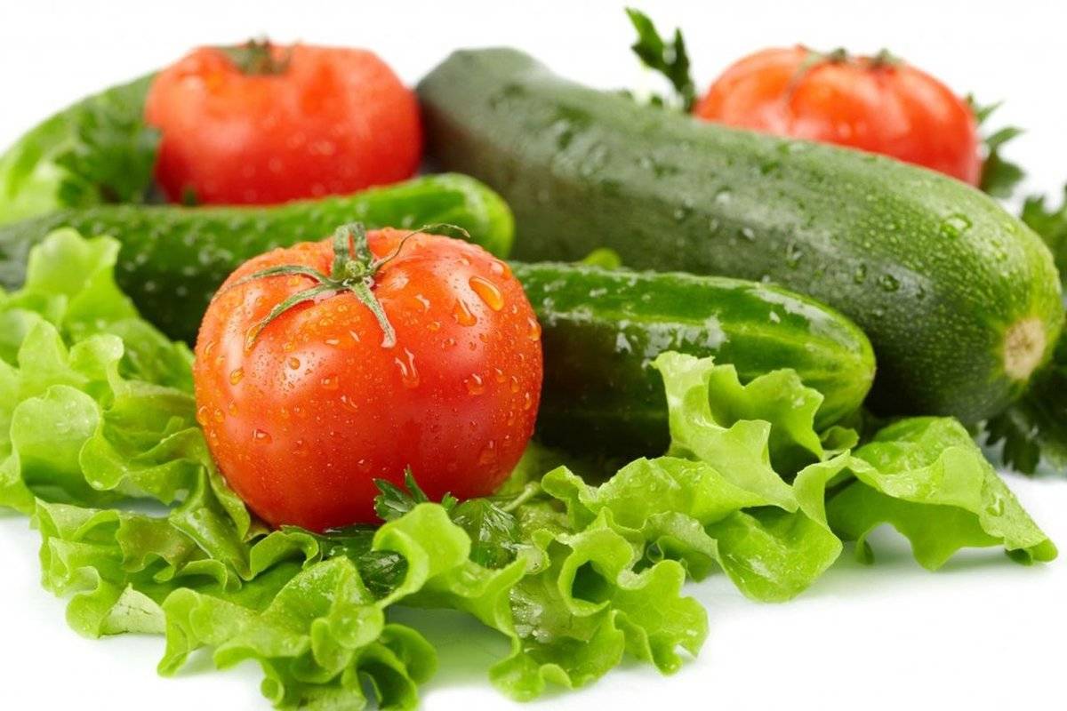 Какие овощи и зелень можно давать собаке. | здоровое питание