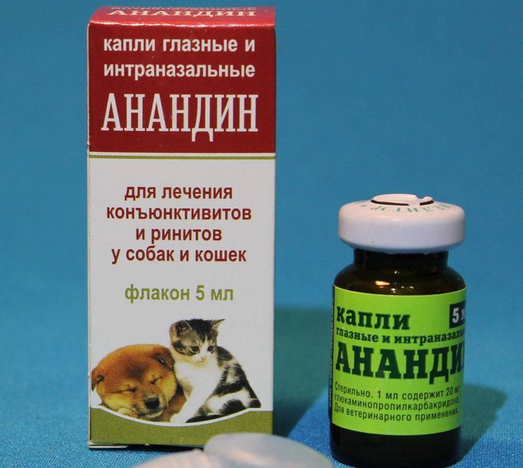 Максидин: инструкция по применению для кошек, отзывы, аналоги препарата