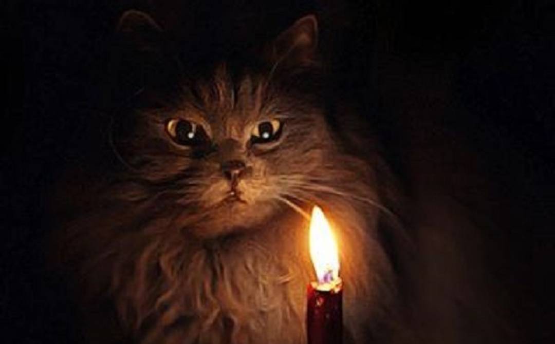 Магия кошек: факты и домыслы