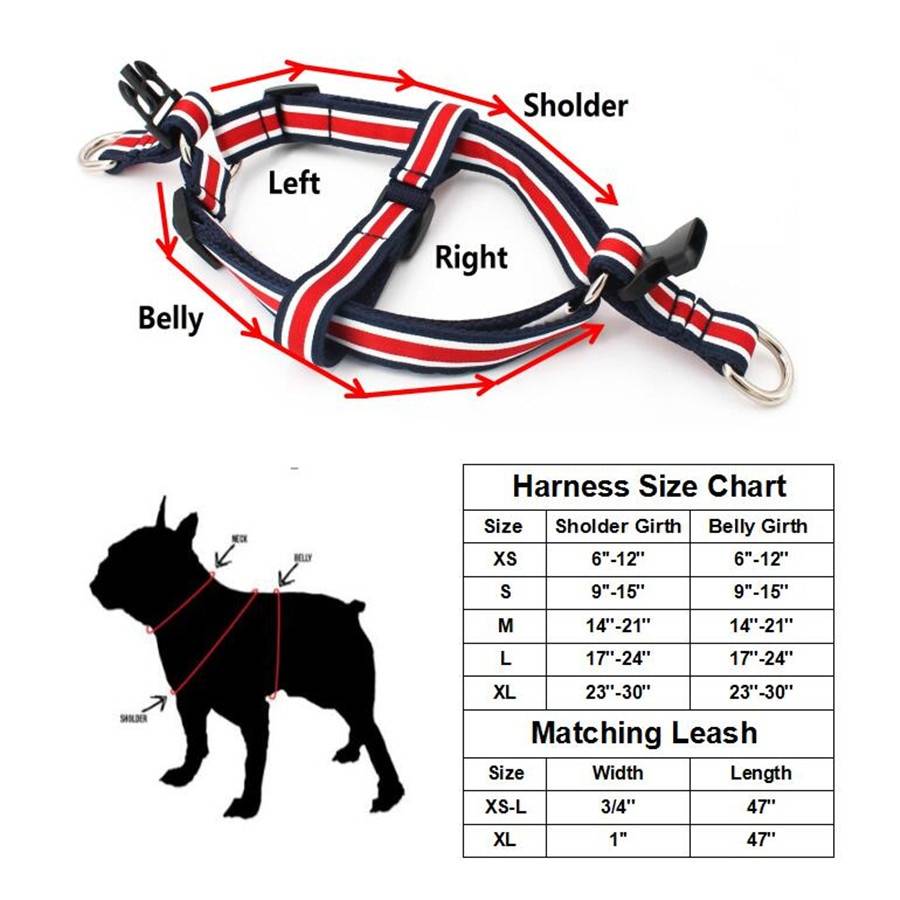 Шлейка для собак (50 фото): как правильно надеть ее на собак крупных, средних и мелких пород? как выбрать шлейку?