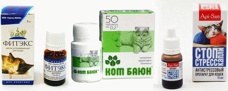 Успокоительное для кошек