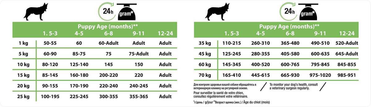 Чем кормить шарпея: рацион питания щенков и взрослых собак