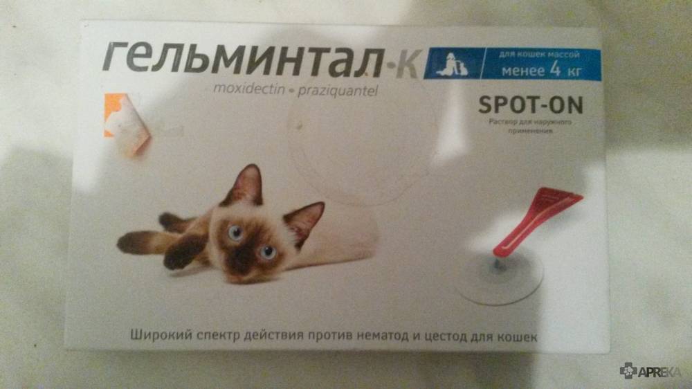 Гельминтал для кошек: капли на холку, таблетки, сироп, инструкция и цена