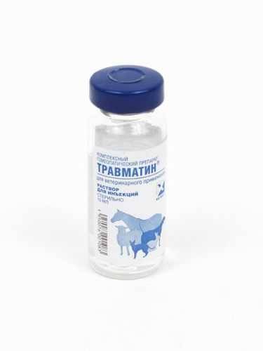 Травматин для кошек: инструкция по применению в ветеринарии, отзывы, аналоги, меры предосторожности