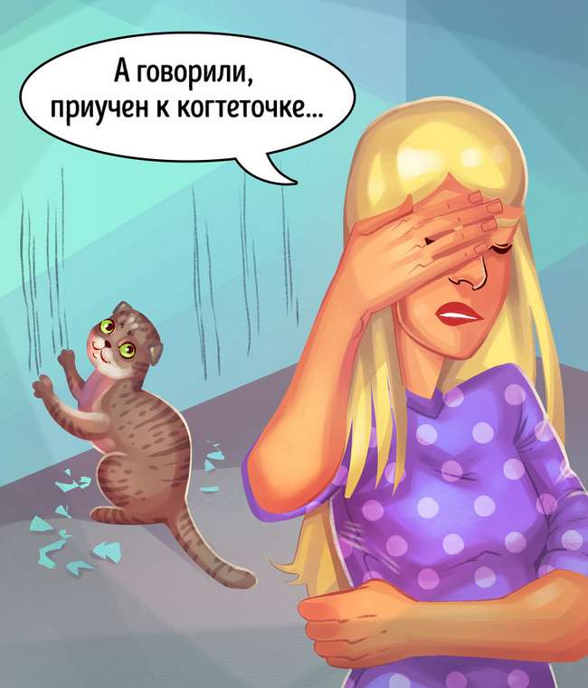 12 ошибок при покупке питомца, которые испортят жизнь обоим - gafki.ru