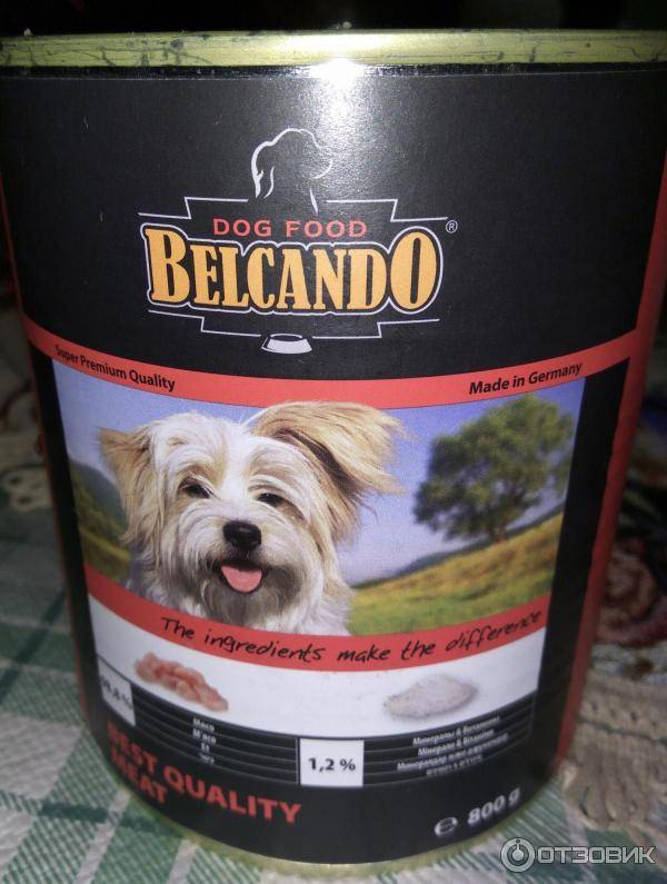 Линейка профессиональных полнорационных кормов belcando для собак (breeder line), разработанная специально для заводчиков и питомников.