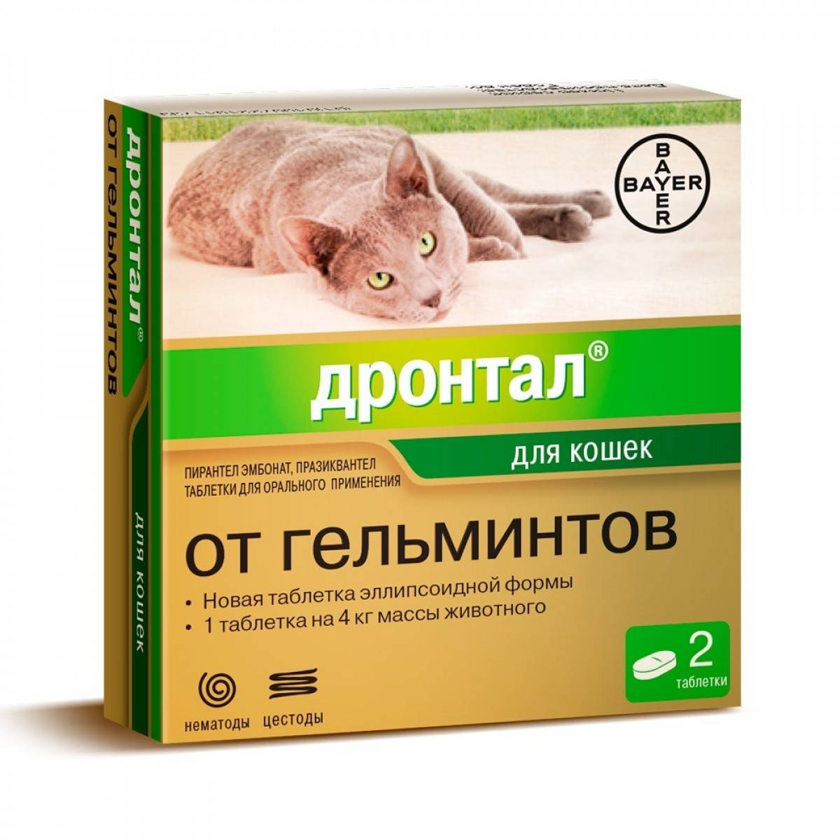 Глистогонное для кошек - обзор антигельминтных препаратов
