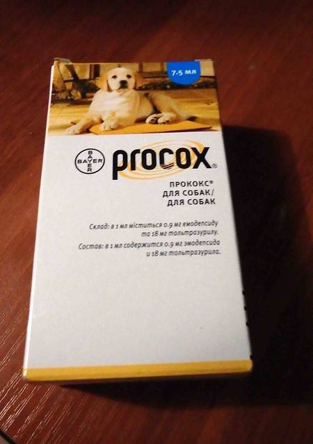Прококс суспензия для собак и щенков, 7,5 мл купить, цена и отзывы в зоомагазине beewell