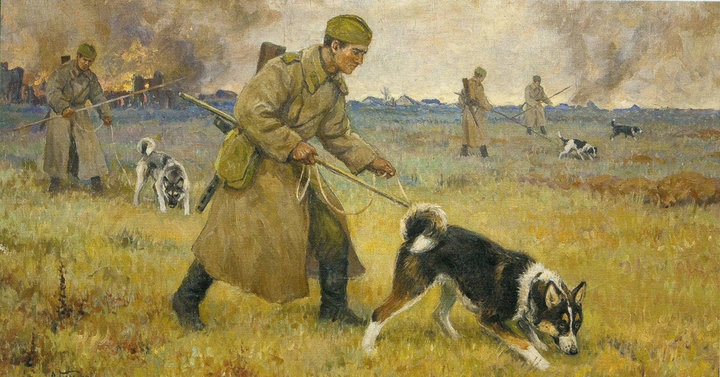 Конспект беседы «собаки, герои великой отечественной войны» подготовительная к школе группы