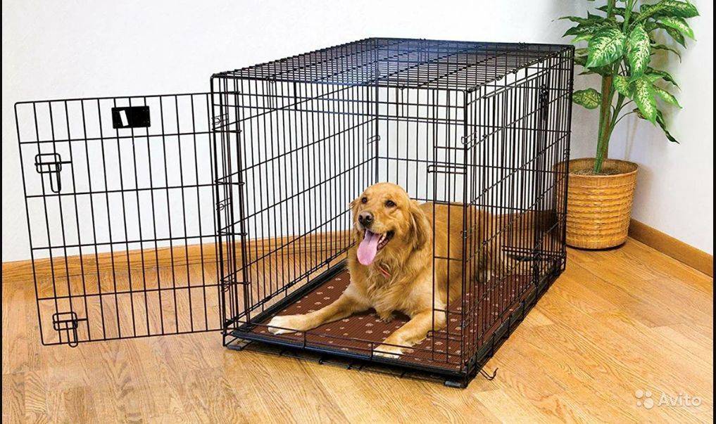 Как выбрать и установить вольер для собаки в квартире