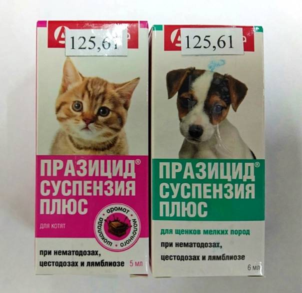 Празицид для кошек: инструкция и показания к применению, отзывы, цена