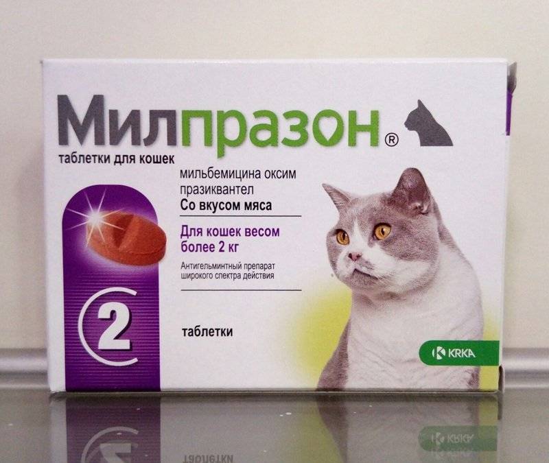 Контрсекснео капли для котов и кобелей - купить, цена и аналоги, инструкция по применению, отзывы в интернет ветаптеке добропесик