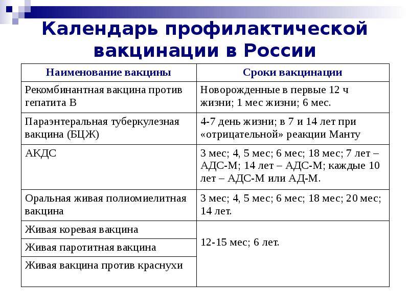 Прививки для кошек: от каких болезней, когда делать, таблица, вакцины