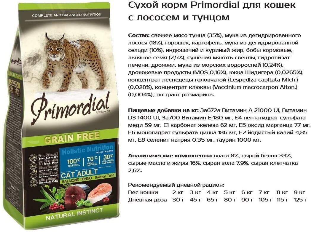 Лечебные ветеринарные корма для кошек: показания к применению, обзор лучших марок, отзывы ветеринаров и владельцев
